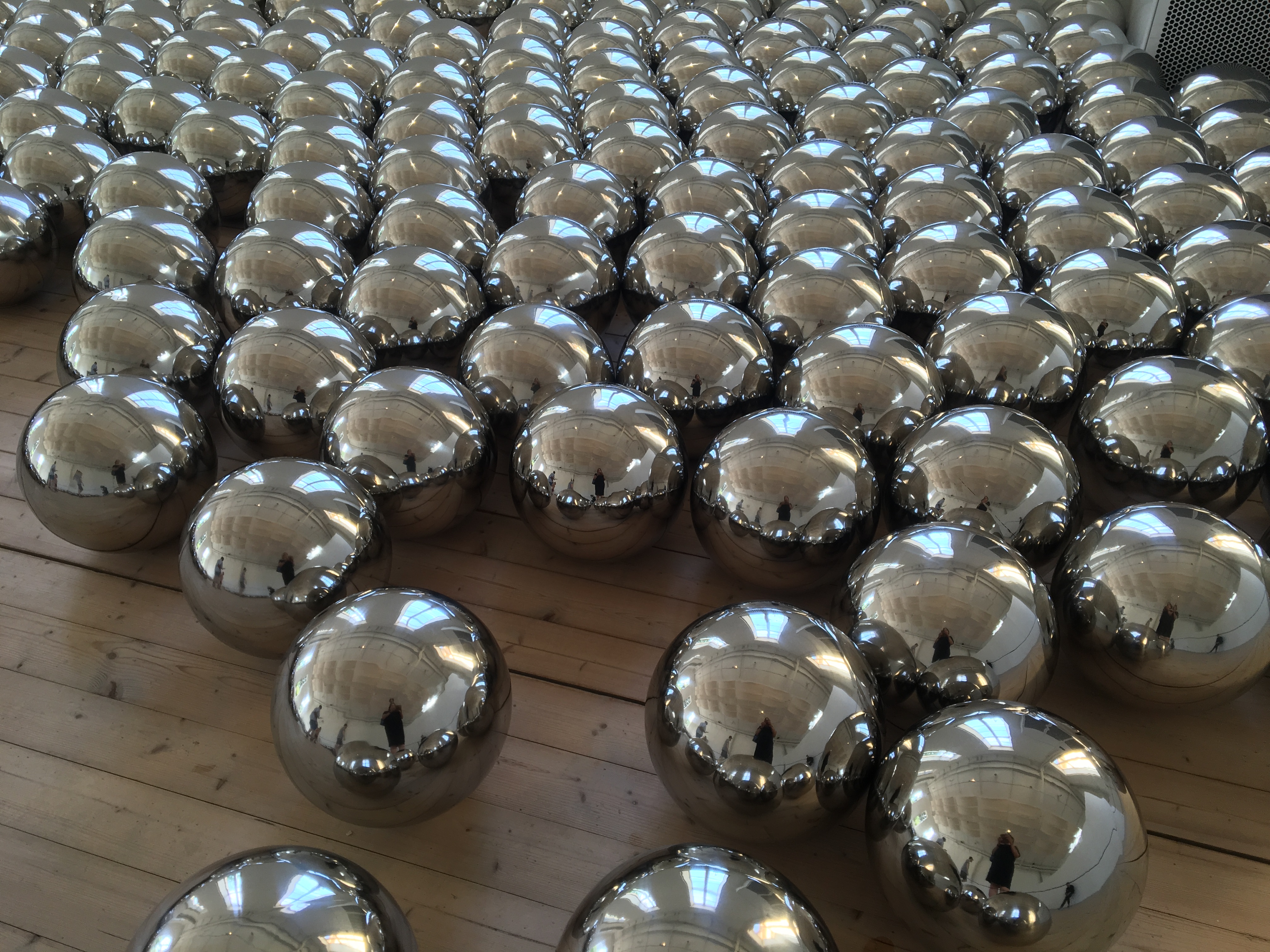 Narcissus Garden – a post especially for Sarahs