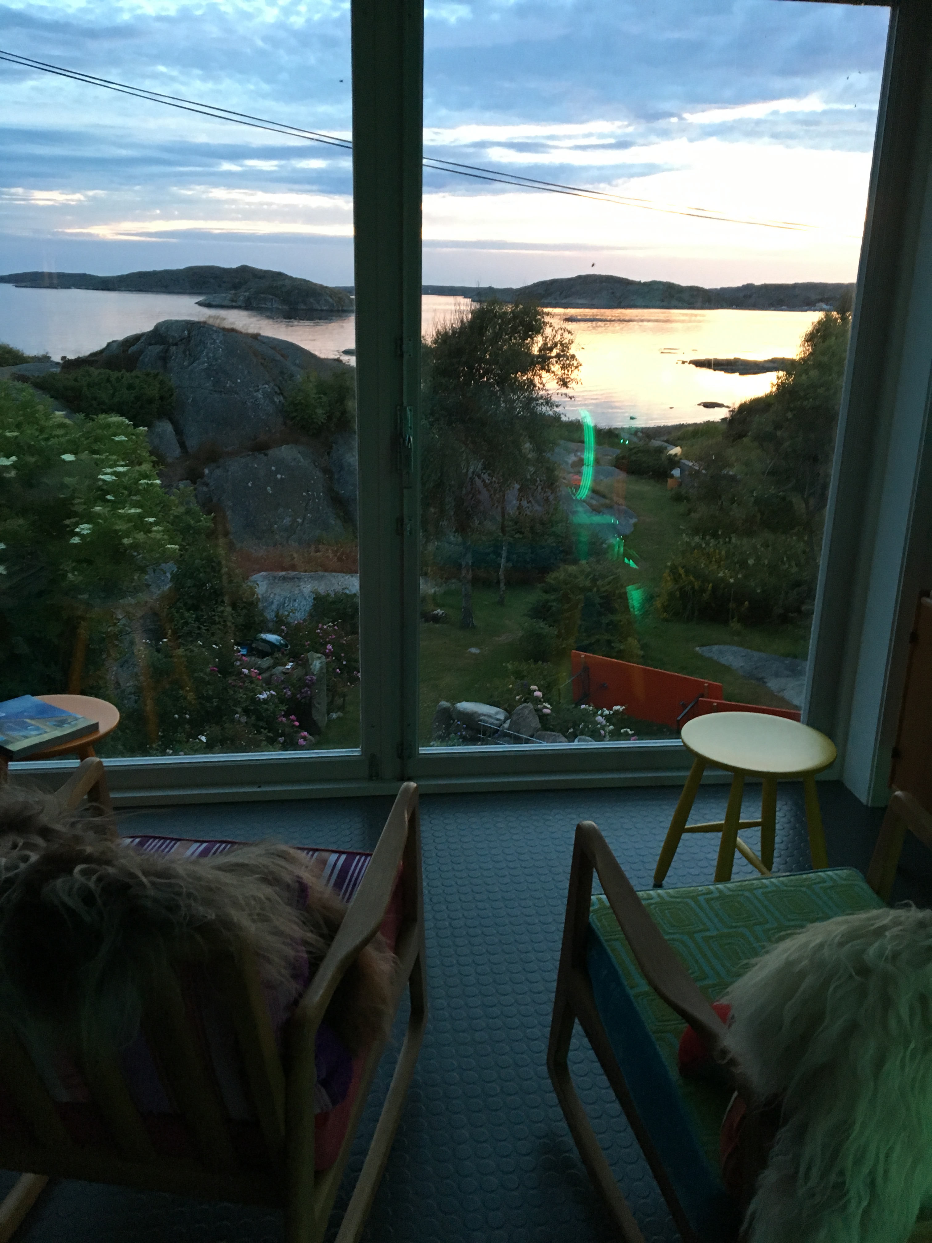 Flowers in the Fish Factory