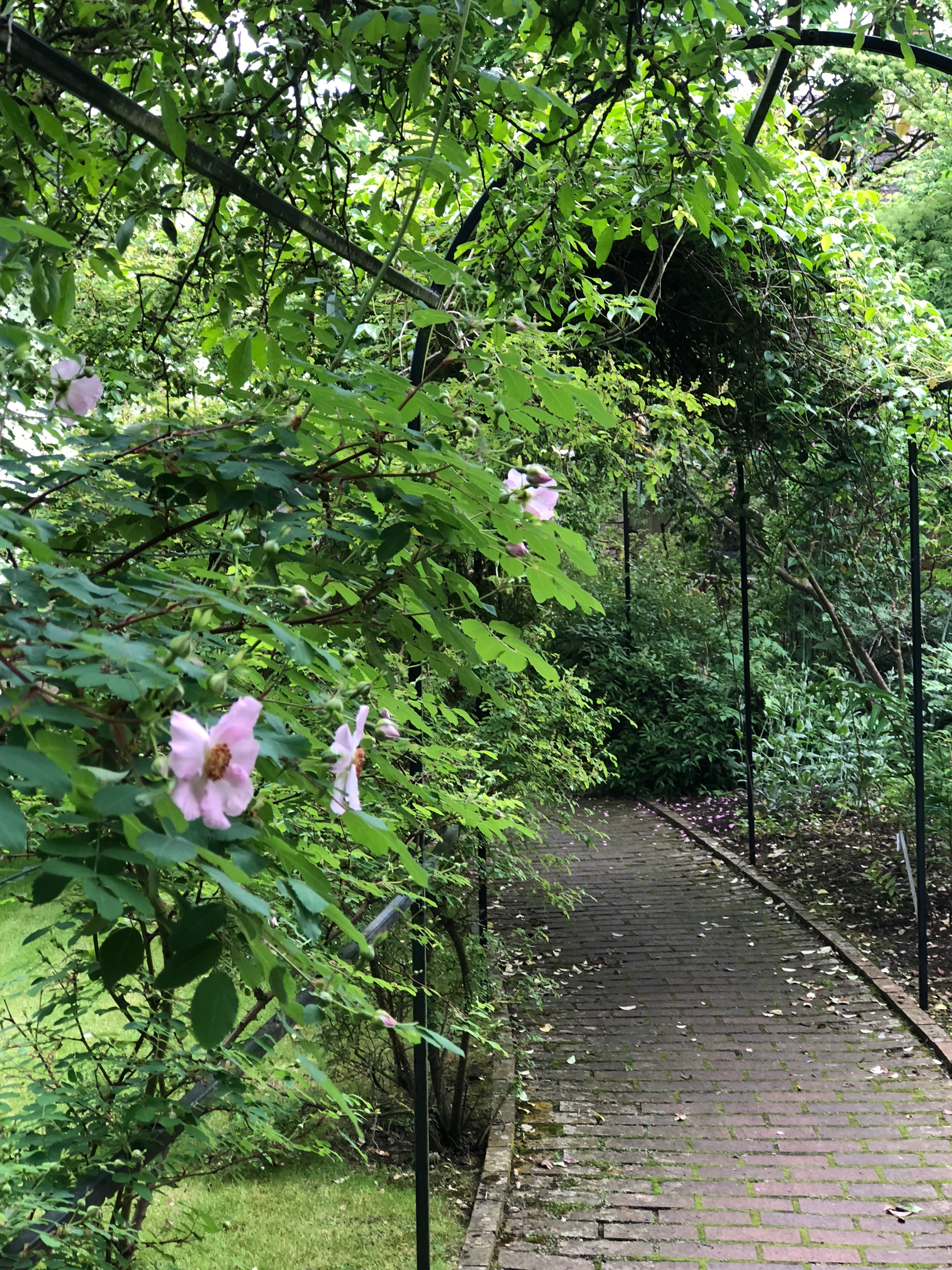 Ernest Wilson – keeping one eye open