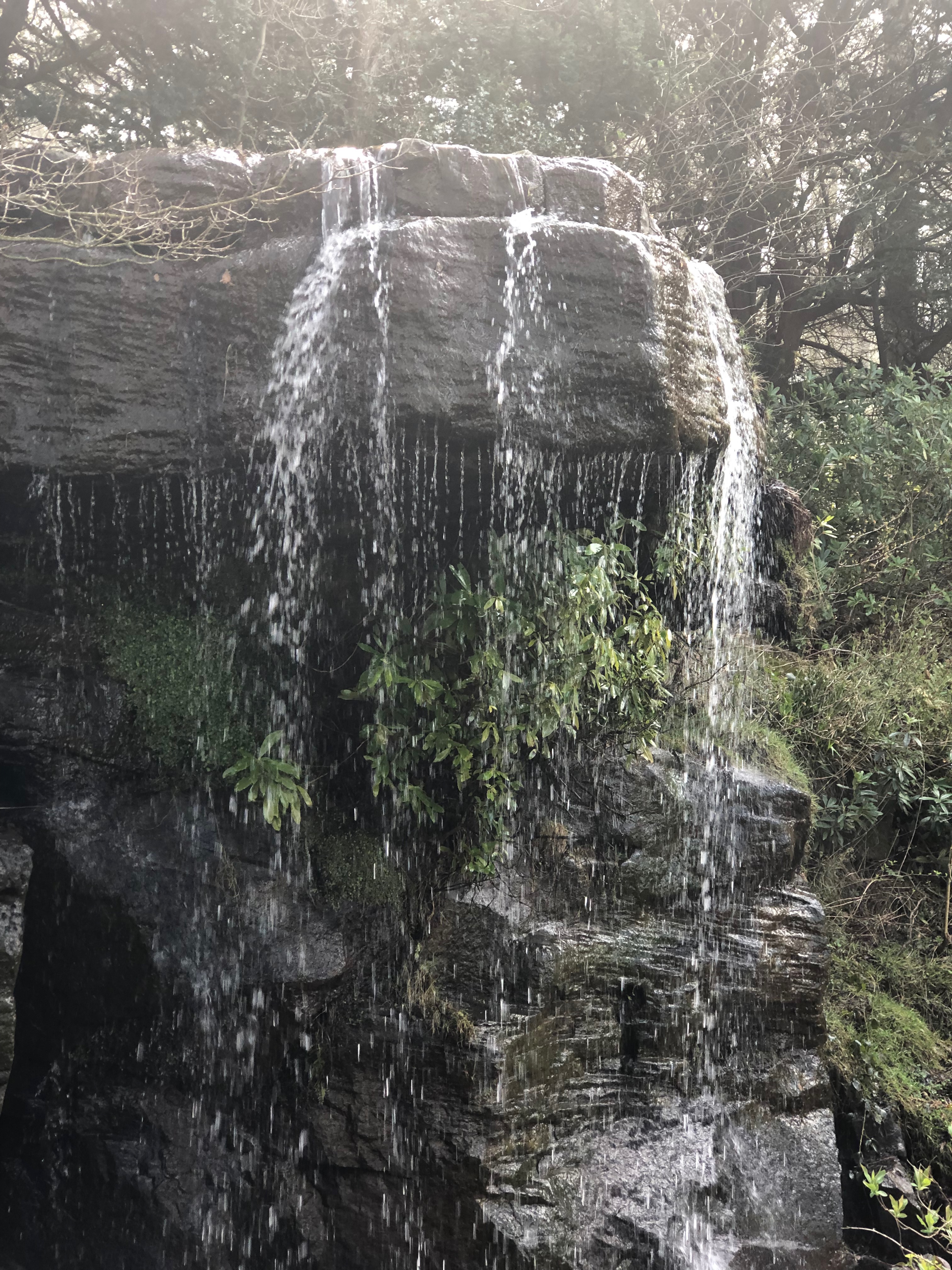 A garden poem for meditation – walking in Stand Wood above Chatsworth House