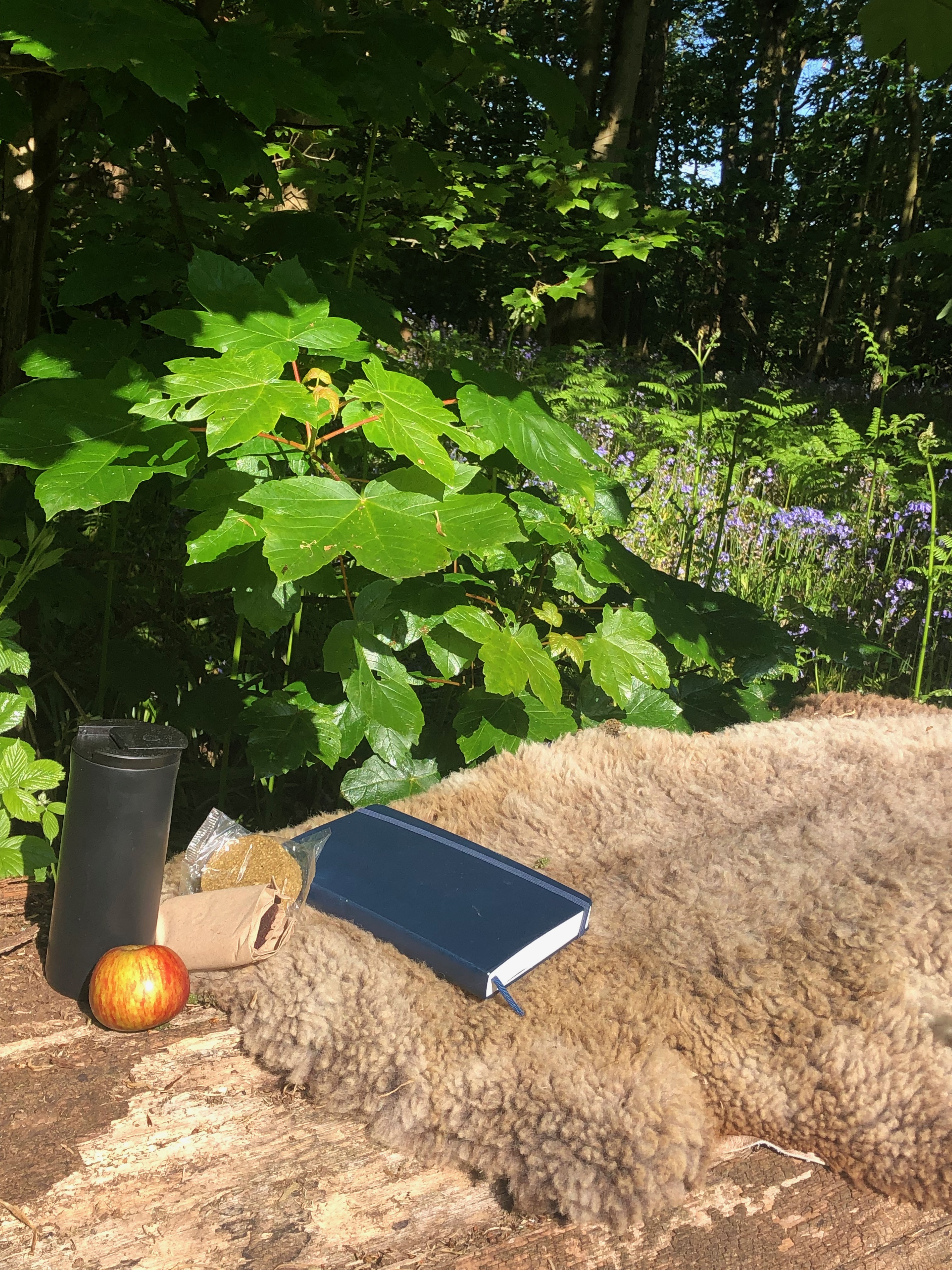 Creative writing in the garden, Week 2