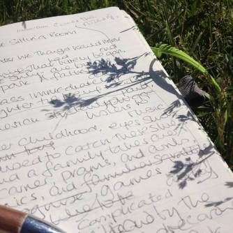 A close-up view of an open notebook with handwritten notes and a blue pen, placed on grass, with a shadow of grass cast on the page.