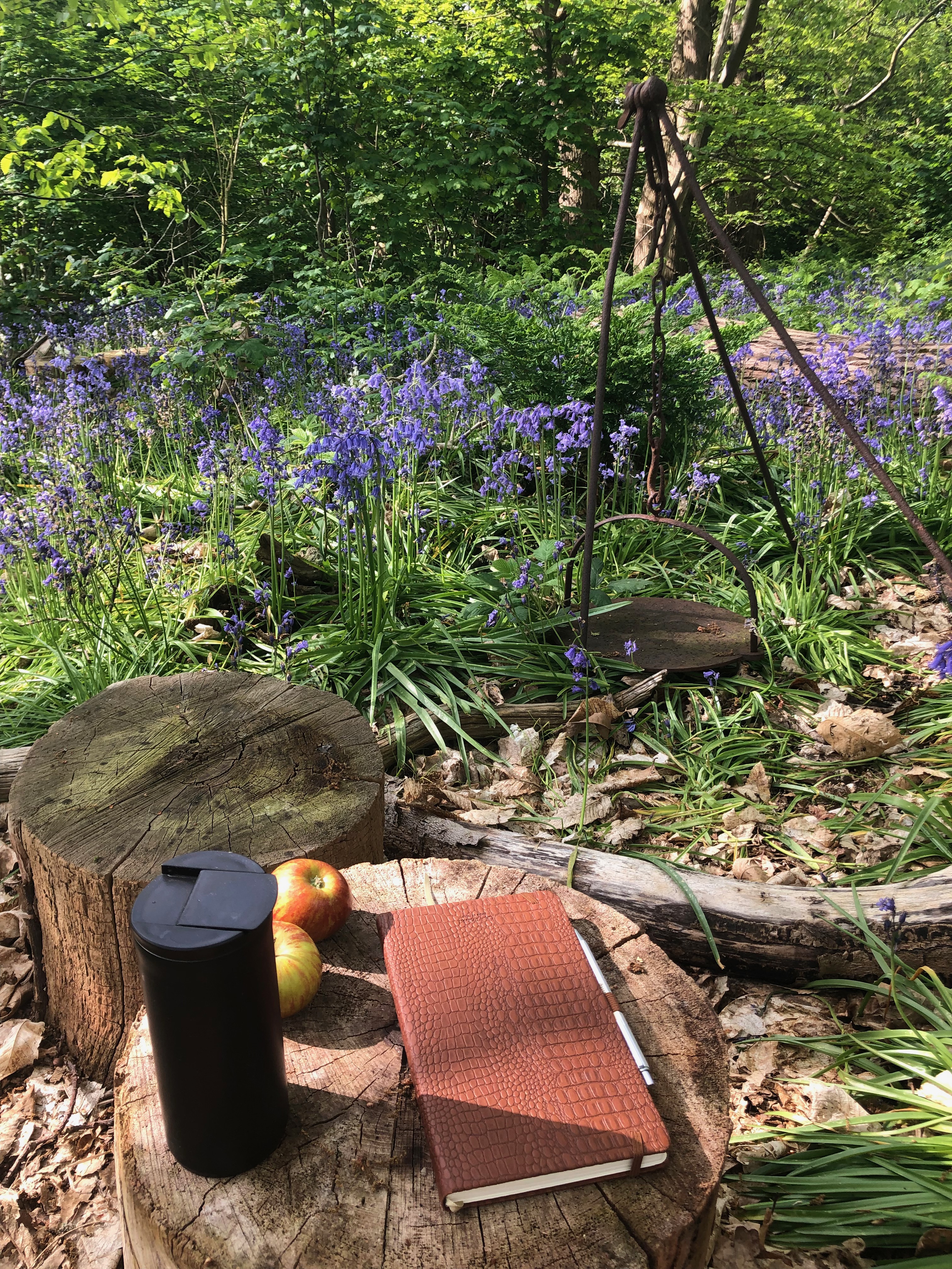 So how does a ‘virtual’ writer in residence work?