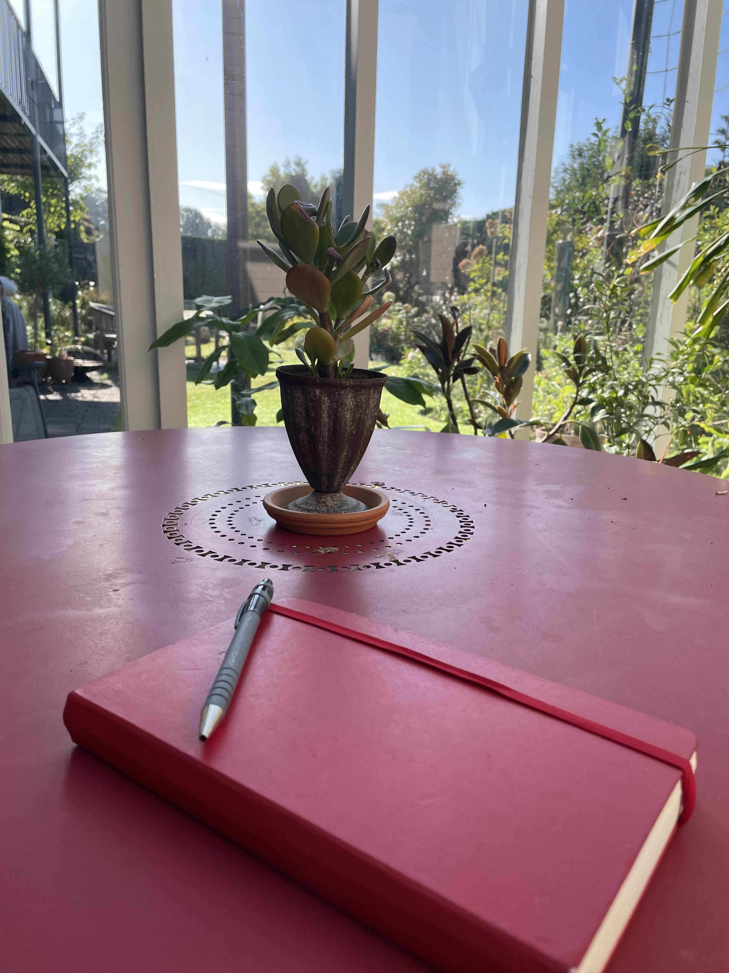 A close-up view of a red notebook and pen on a pink table, with a small potted plant in the background and sunlight filtering through glass windows.